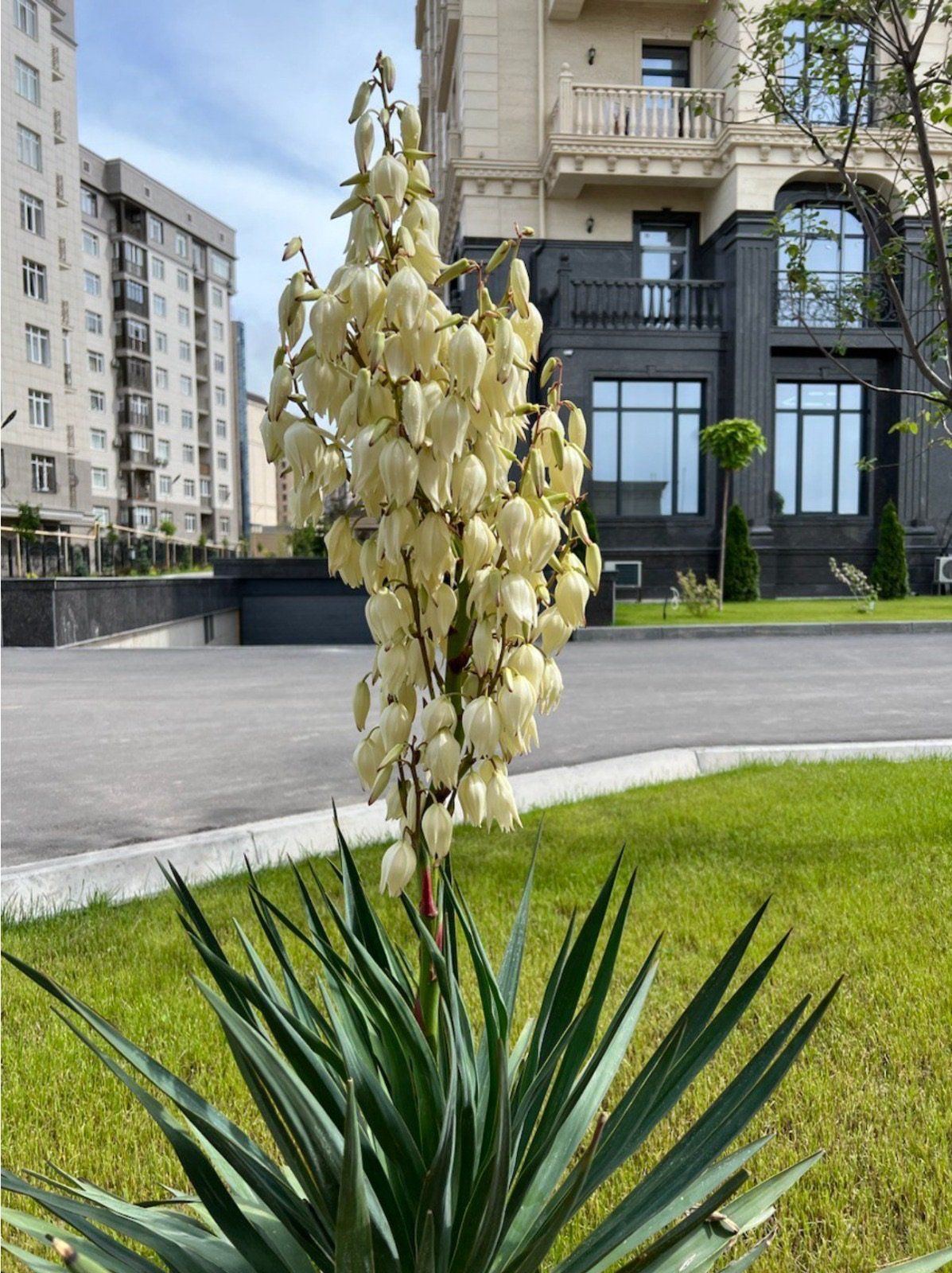 Пентхаус — фото 1